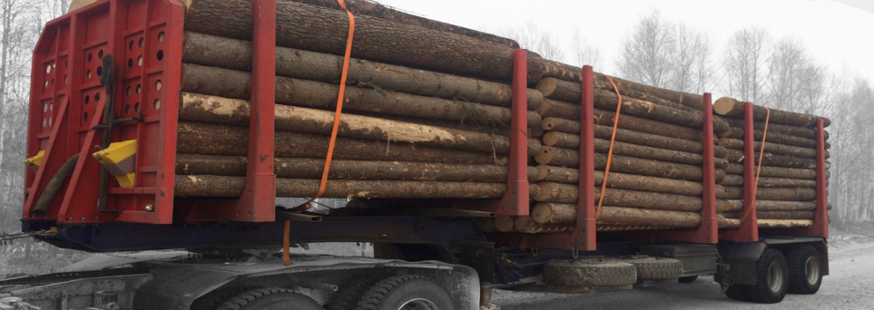 Полуприцеп-сортиментовоз чмзап 93853 по спецификации 041 м2а